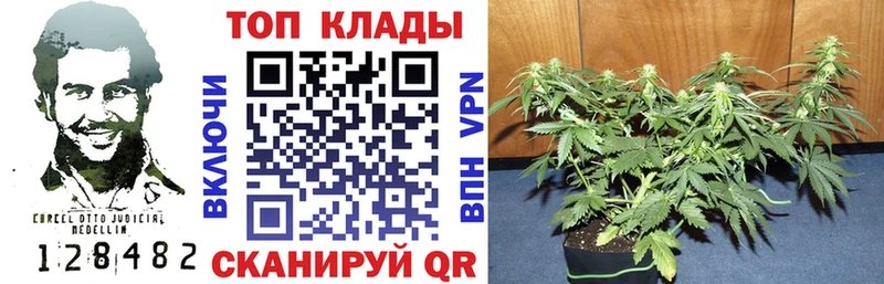 Купить закладку Псилоцибиновые грибы  АМФЕТАМИН  Мефедрон  ГАШИШ  Марихуана  APVP  Гремячинск