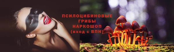 не бодяженный Аркадак