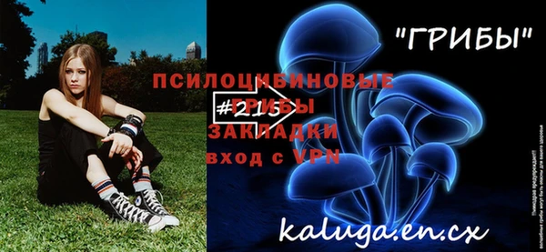 2c-b Арсеньев