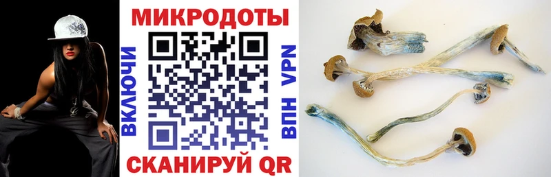 Купить  Гремячинск  Псилоцибиновые грибы мицелий 